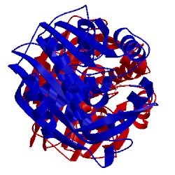 Image of CATH 3hcd