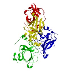 Image of CATH 3hcg