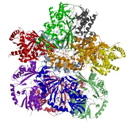 Image of CATH 3hdq