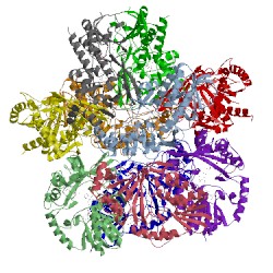 Image of CATH 3he3