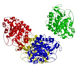 Image of CATH 3hf3