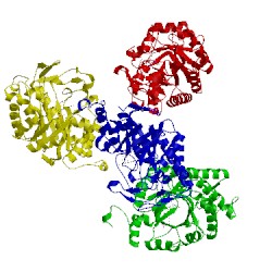 Image of CATH 3hgj