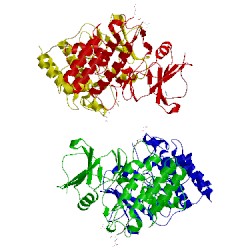 Image of CATH 3hgk