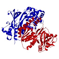 Image of CATH 3hgu