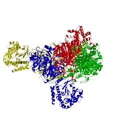 Image of CATH 3hhd