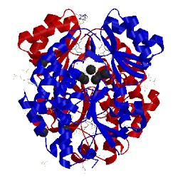 Image of CATH 3hjv