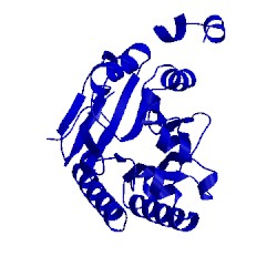 Image of CATH 3hkx