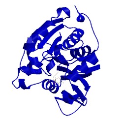 Image of CATH 3hl3