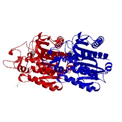 Image of CATH 3hlp
