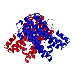 Image of CATH 3hlx