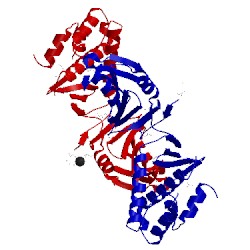 Image of CATH 3hlz