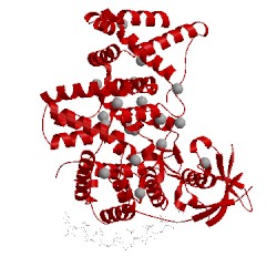 Image of CATH 3hm6