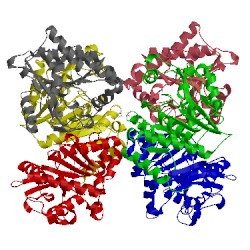 Image of CATH 3hn6