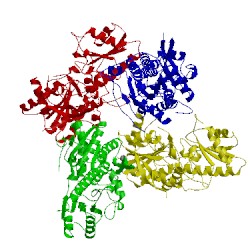 Image of CATH 3hno