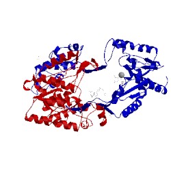 Image of CATH 3hos