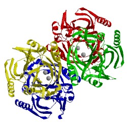 Image of CATH 3hpv