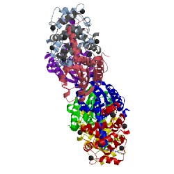 Image of CATH 3hr4