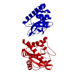 Image of CATH 3hrv