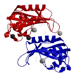 Image of CATH 3hsd