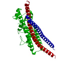 Image of CATH 3htk