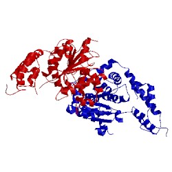 Image of CATH 3hv0