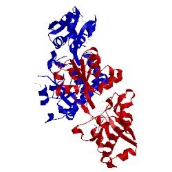 Image of CATH 3hv1