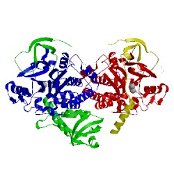 Image of CATH 3hvq