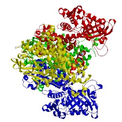 Image of CATH 3hwc