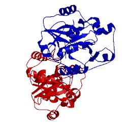 Image of CATH 3hwi