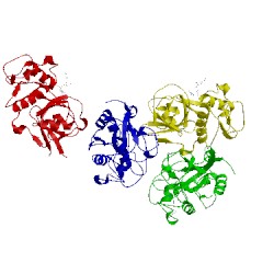 Image of CATH 3hwn