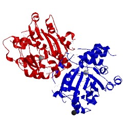 Image of CATH 3hwp