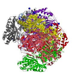 Image of CATH 3hwx