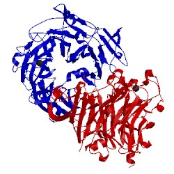 Image of CATH 3hx6