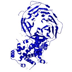 Image of CATH 3hxr