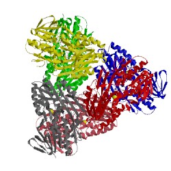 Image of CATH 3hyx