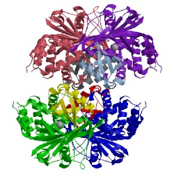 Image of CATH 3i3t