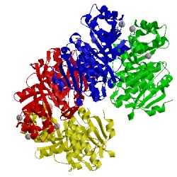 Image of CATH 3i6t
