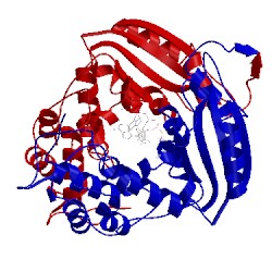 Image of CATH 3i9o