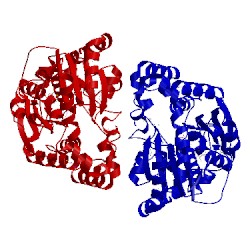 Image of CATH 3iaa