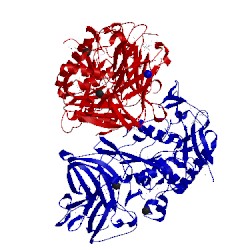 Image of CATH 3ib3