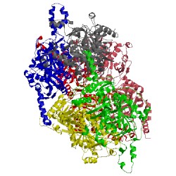 Image of CATH 3ibb