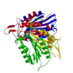 Image of CATH 3ibf