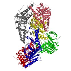 Image of CATH 3ibg