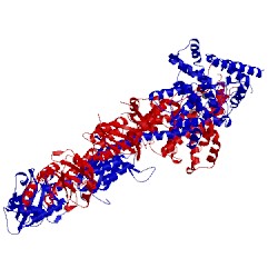 Image of CATH 3ibj