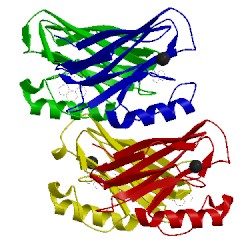 Image of CATH 3ibo