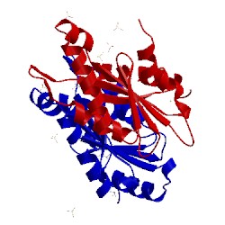 Image of CATH 3icl