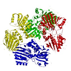 Image of CATH 3idz