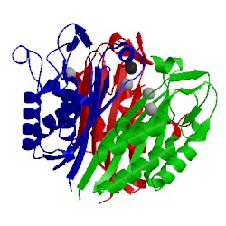 Image of CATH 3ieq