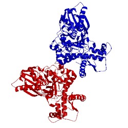Image of CATH 3ifr