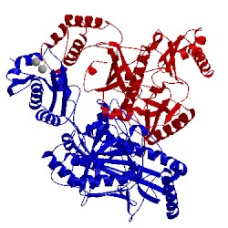 Image of CATH 3ig1